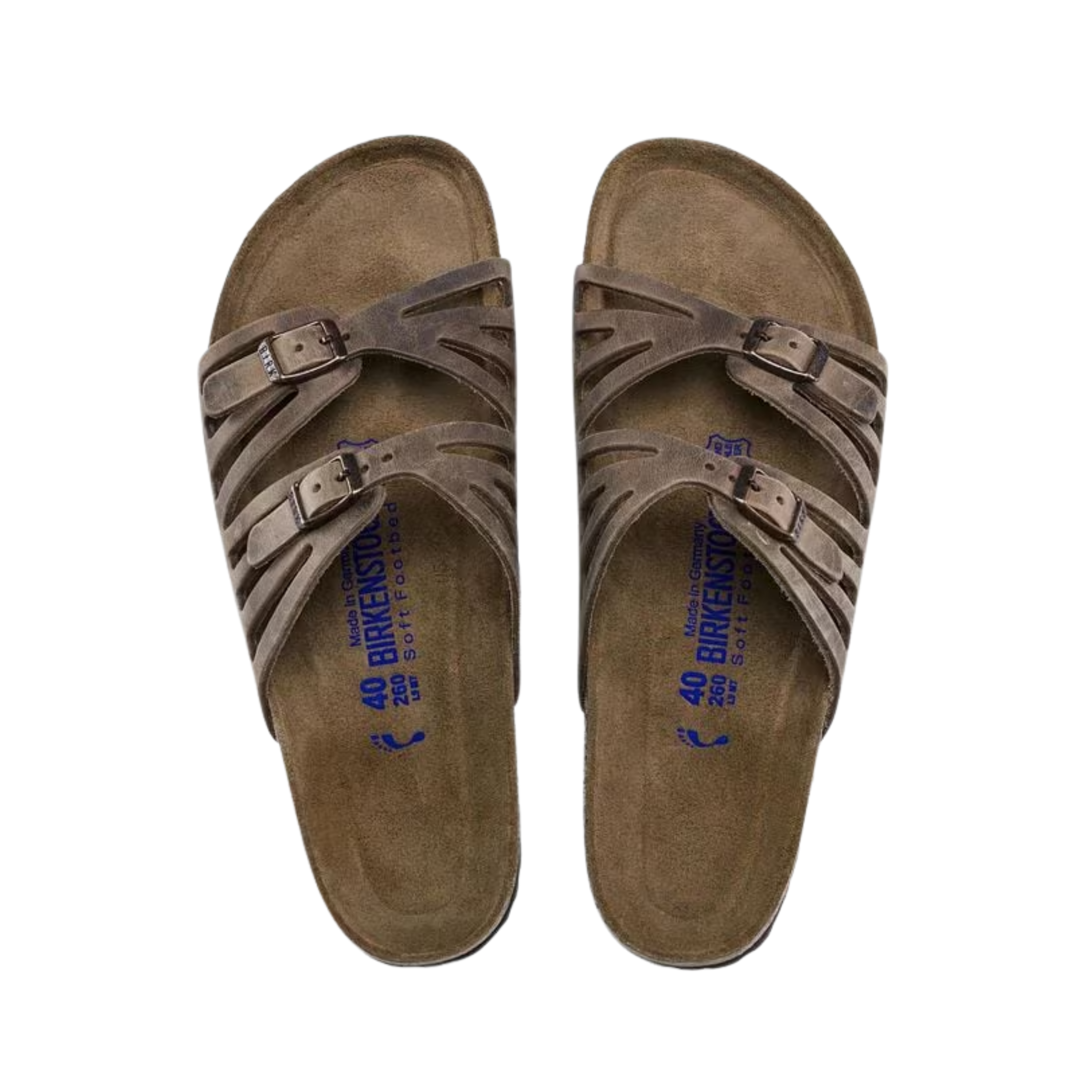 Women's Granada Soft Footbed (Oiled Leather) - Tobacco Brown